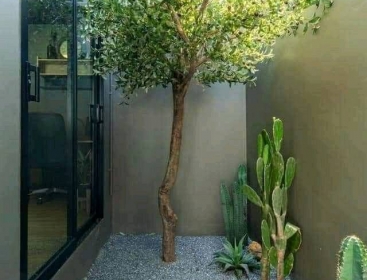 NHÀ KIỂU NHẬT
