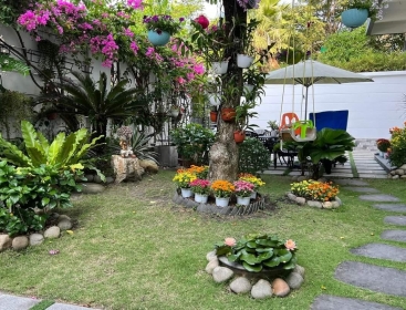 SÂN VƯỜN 