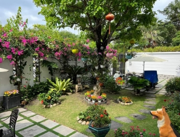 SÂN VƯỜN 