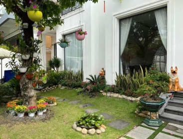 SÂN VƯỜN 